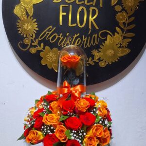 Bella_flor1095